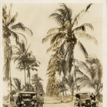 Omc 2022.002.075 Image